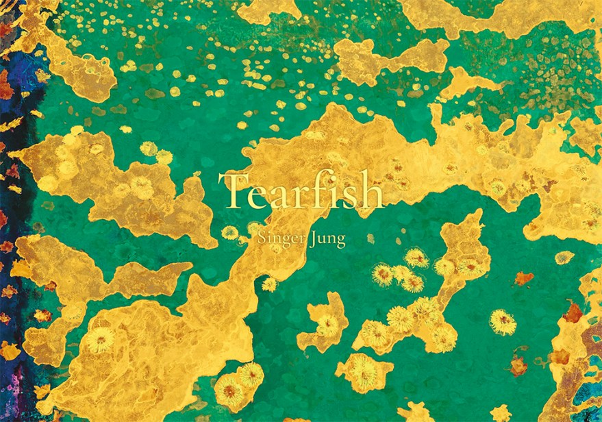 A book Tearfish cover image