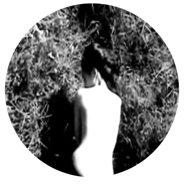 purity research, halellujah