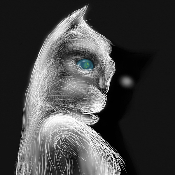 HOME graphic novel ver