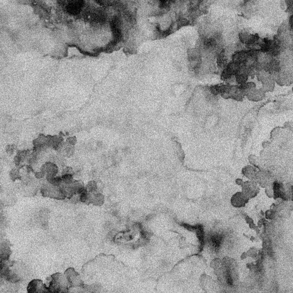 singerjung i Akureyri cover image